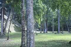 fg000249.jpg