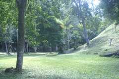 fg000250.jpg