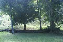 fg000251.jpg