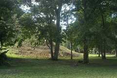 fg000252.jpg