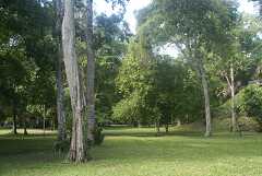 fg000253.jpg