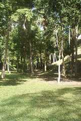 fg000255.jpg