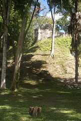 fg000257.jpg