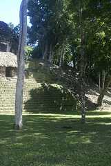 fg000259.jpg