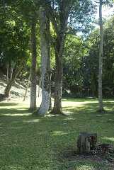 fg000260.jpg