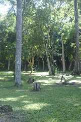 fg000261.jpg