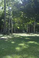 fg000262.jpg