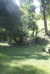 fg000263.jpg