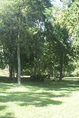 fg000266.jpg