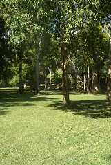 fg000267.jpg