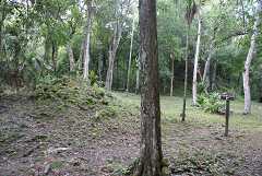 fg000324.jpg