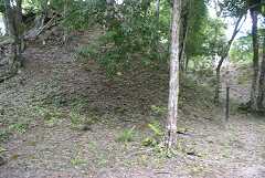 fg000326.jpg