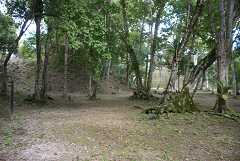 fg000327.jpg