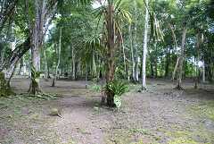 fg000328.jpg