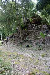 fg000331.jpg