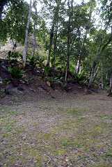fg000333.jpg