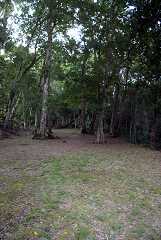 fg000334.jpg