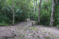 fg000335.jpg