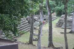 fg000394.jpg