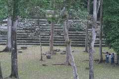fg000395.jpg