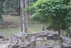 fg000397.jpg
