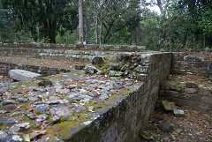 fg000642.jpg
