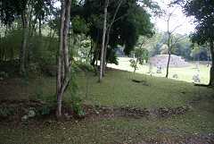 fg000646.jpg
