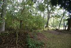 fg000651.jpg