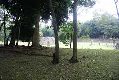fg000652.jpg