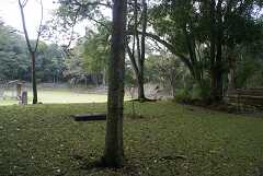 fg000653.jpg