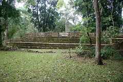 fg000654.jpg