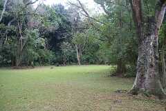 fg000659.jpg