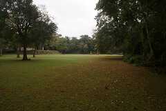 fg000661.jpg