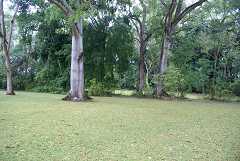 fg000672.jpg