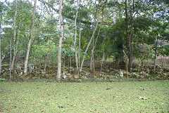 fg000674.jpg