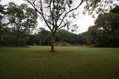 fg000676.jpg
