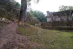 fg000679.jpg