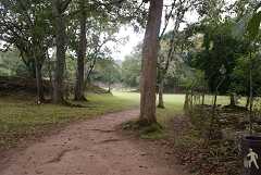 fg000681.jpg