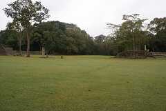 fg000695.jpg