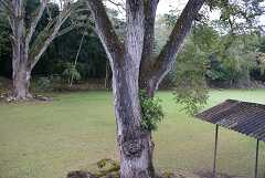 fg000713.jpg