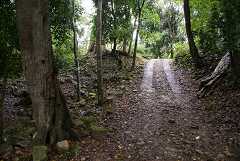 fg000806.jpg