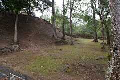 fg000810.jpg