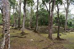 fg000811.jpg