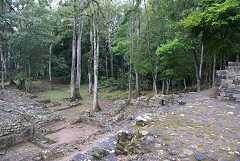 fg000813.jpg