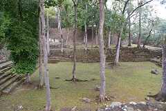 fg000823.jpg