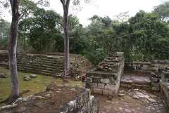 fg000824.jpg