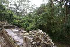 fg000825.jpg