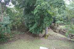 fg000826.jpg