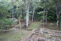 fg000827.jpg