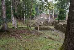 fg000831.jpg
